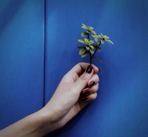 2021女生心情签名好听的 我爱的你就像风筝，当、我爱的你就像风筝