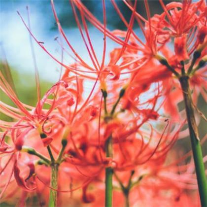 qq个性签名超拽2021女 内不欺已