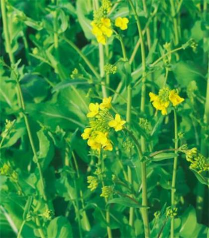 00后微信签名活泼女生风趣的_同样是人 分什么 男 同样是人