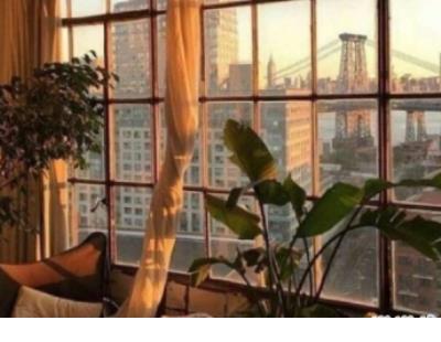 2021最新版的个性搞笑签名 其实一切都在变,是自_其实一切都在变