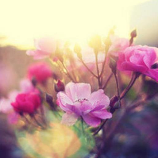 2021最搞笑的qq个性签名、ᵀʰᵉʳᵉ