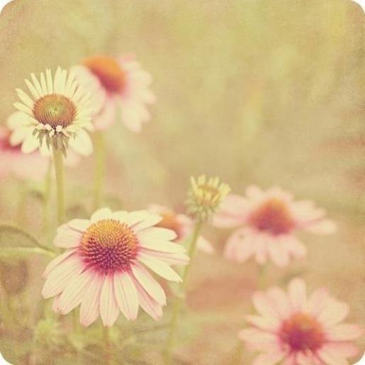 微信签名2021年伤感 最好的