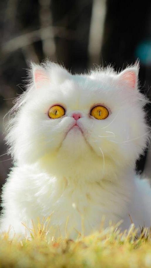 对生活很迷茫的qq签名2021伤感_我蹲在这里不走等你找