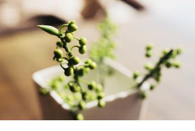 2021肚子笑痛了的搞笑说说_又何必让我动心。