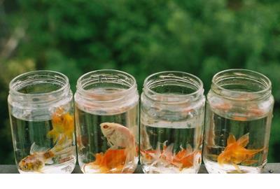 2021超拽签名风暴来袭 今天做梦梦见你了，真--今天做梦梦见你了