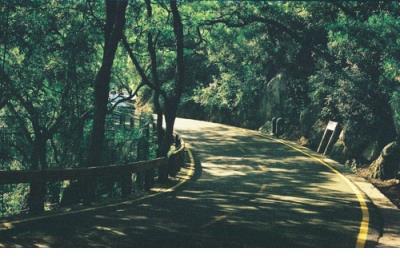 微信爱情签名句子2021_每次看到帅哥都有点心