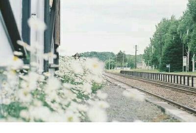 2021qq个性签名搞笑整个世界都贱了 跌倒了就站起来，别人 跌倒了就站起来