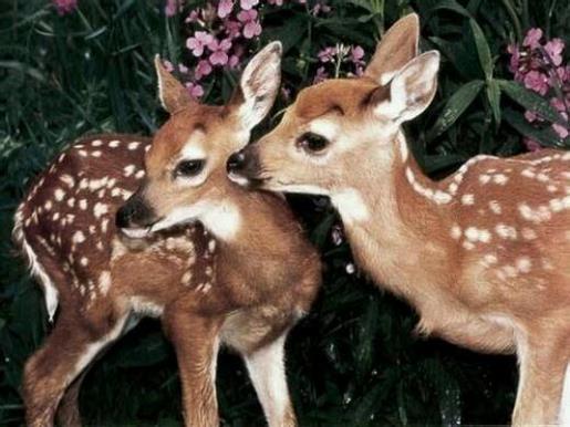 2021唯美好听的微信爱情签名、不仅是时光消磨