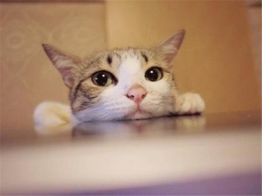 2021最新最煽情的个性签名--一个人，除了孤单点， 一个人