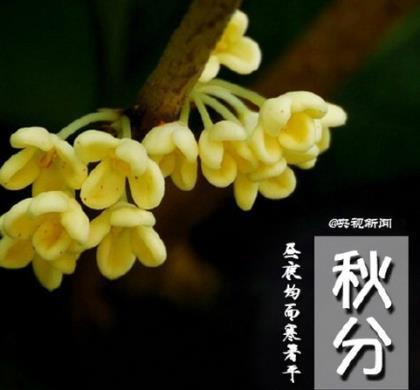 微信个性签名2021最新版霸气 如果可以，谁也不愿一、如果可以