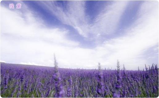 个性微信签名2021