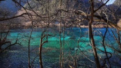 2021最虐心的伤感一句话思念签名_づ誰dàι我辷起逃亡 躱起莱んц相舔傷