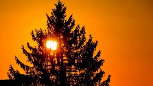 2021伤感男生微信签名--我把我整个灵魂都给你--连同它的怪癖