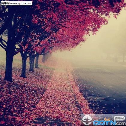 2021好听幸福的qq签名大全、我有一个萌萌萌女友