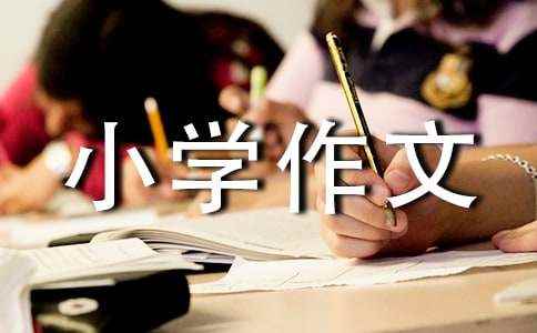 有趣的实验作文(通用28篇) 四年级科学小实验