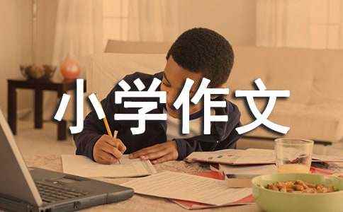 有趣的实验作文(通用20篇) 四年级上册科学小实验