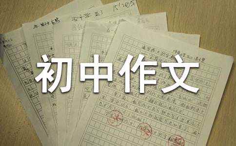 这里也是我的舞台作文范文(通用28篇) 这里也是我的舞台500字初中