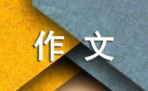 纸的作文 作文纸400字