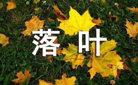关于落叶作文(精选39篇) 落叶作文