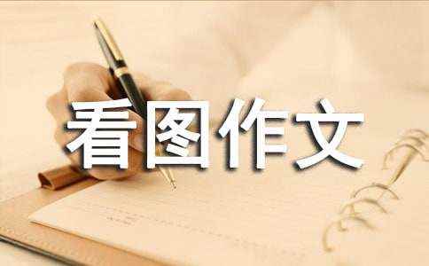 六年级看图写 六年级作文100字左右