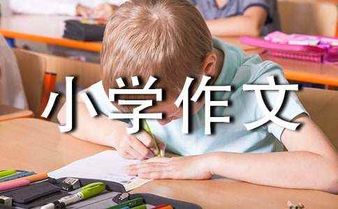 变形记作文(精选45篇) 变形记作文700字