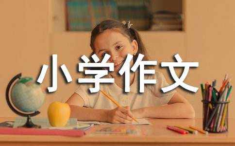 试卷一年级作文 小学试卷题库