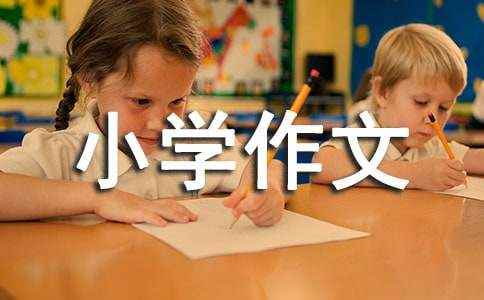 爱是什么作文14篇(热门) 爱是     的作文400字