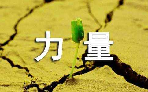 相信的力量作文(20篇) 相信的力量作文450字