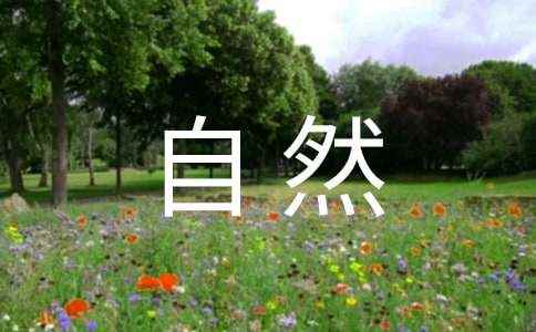 让真情自然流露作文愧疚(推荐9篇) 愧疚作文神仙开头结尾