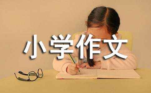 西游记后传作文(通用35篇) 西游记后传作文600字